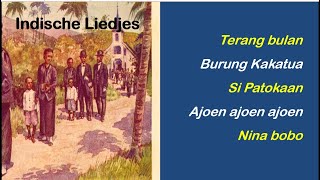 Indische liedjes 1 [upl. by Seyer404]