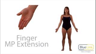 Finger Flexion Extension [upl. by Eatton351]