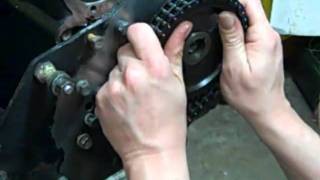 MG timing chain [upl. by Drarrej]