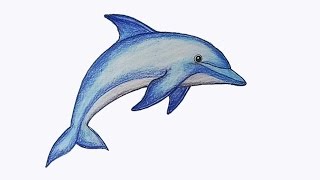 How to draw Dolphin step by step [upl. by Annairoc]