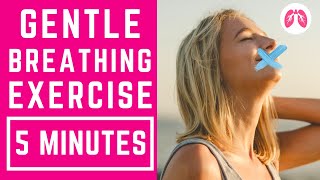 Buteyko Inspired Breathing Exercises  5 Minutes  TAKE A DEEP BREATH [upl. by Sylado]