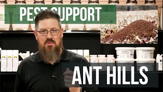 How do I get Rid of Ant Hills  Pest Support [upl. by Natye805]