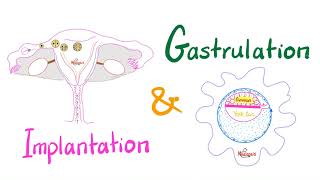 Implantation Bleeding and Early Pregnancy Symptoms  Am I Pregnant [upl. by Amargo]