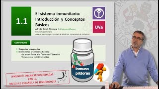 11 EL SISTEMA INMUNITARIO INTRODUCCIÓN Y CONCEPTOS BÁSICOS [upl. by Elvis]