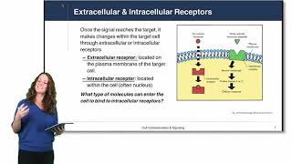 Cell Physiology Cell Signaling [upl. by Arutak878]