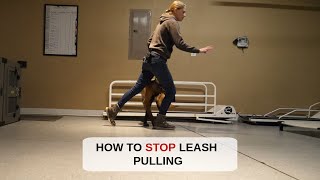 How To Stop Your Dog From Pulling On The Leash [upl. by Clorinde]