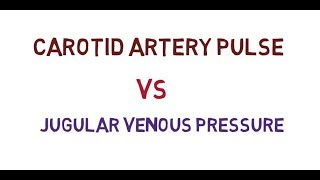 carotid artery pulse VS jugular venous pressure [upl. by Eneryc]