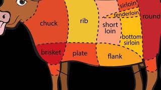 Beef Cow Meat Cuts Chart [upl. by Atwekk]