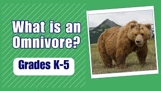 What is an Omnivore More Grades 35 Science [upl. by Nahem102]