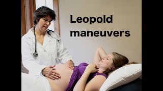 Leopolds Maneuvers for NCLEX RN [upl. by Waterer]