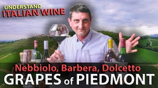 Piedmonts Wine TRILOGY Nebbiolo Barbera Dolcetto  Italian Wine 101 [upl. by Osner]