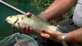 Italian Fishing Tv  Trabucco  Tecniche di Pesca  Il Mincio a Peschiera [upl. by Pet]