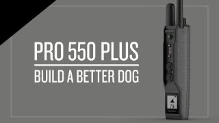 PRO 550 Plus Nolook Dog Training and Tracking [upl. by Zaneta]