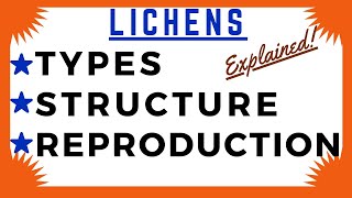 Lichen Crustose Foliose Fruticose  Algae Fungi Symbiosis  Lichens Diagram  Structure Reproduction [upl. by Airuam]