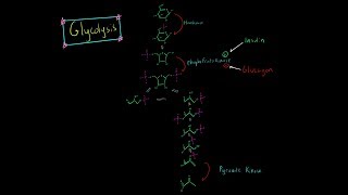 Glycolysis Pathway EVERYTHING YOU NEED TO KNOW BIOCHEMISTRY MCAT [upl. by Eryt]