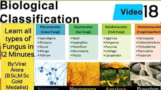 Types of fungus classification of fungiphycomycetesascomycetesbasidiomycetesdeuteromycetesNEET [upl. by Sena]