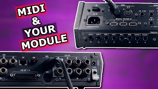 How MIDI Works With Electronic Drums  eDrums MIDI Basics amp Can You MIDI Expand Your Drum Module [upl. by Jo]