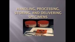 Handling Processing Storing and Delivering Specimens [upl. by Ahsyekat]