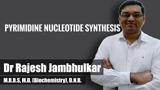 Pyrimidine nucleotide synthesis and degradation [upl. by Ginder]