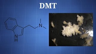 Dimethyltryptamine DMT What You Need To Know [upl. by Ysnat]