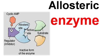 Allosteric enzyme [upl. by Aerdied]