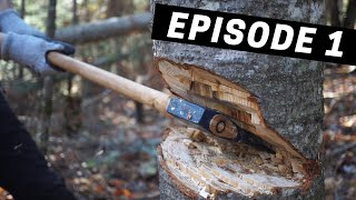 Building A Log Cabin  Ep 1  Felling amp Debarking Our First Tree [upl. by Auqenaj]