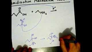 How to Make Amides Mechanism [upl. by Cirilo]