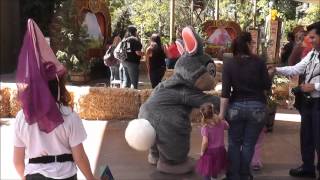 Thumper Meet amp Greet  Disneyland  HD [upl. by Noemys]