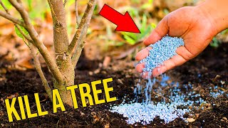 How To Secretly Kill A Tree Ultimate Guide [upl. by Antoinetta934]