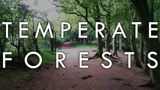 The Temperate Forest Biome  Biomes6 [upl. by Sadie]