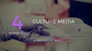 Culture Media [upl. by Libbie]