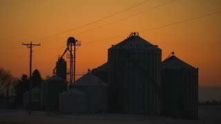 Trapped Dying alone in grain bins [upl. by Naihr]