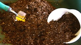 How to revitalize and reuse potting soil [upl. by Cowles470]