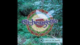 Entheogenic  Flight Of The Urubus Full Album [upl. by Drannel]