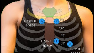 Sternal angle [upl. by Eugenie]