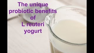 The unique probiotic benefits of L reuteri yogurt [upl. by Chapland]