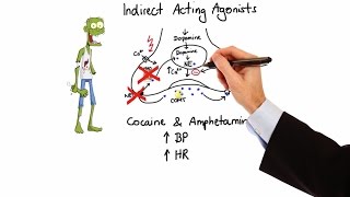 Pharmacology  ADRENERGIC RECEPTORS amp AGONISTS MADE EASY [upl. by Marie861]