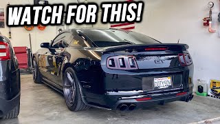 What To Look For When Buying 1114 Mustang GT 50 [upl. by Hufnagel]