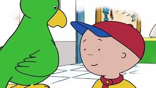 Caillou English Full Episodes  Wheres Gilbert  Videos For Kids  Caillou New HD [upl. by Congdon]