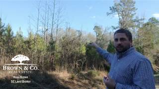 Identifying Survey Boundary Markers on Property Lines [upl. by Klayman214]