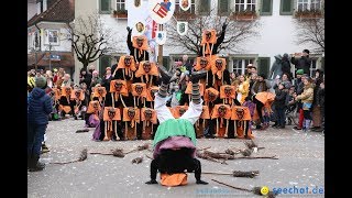 Narrenumzug in Langenargen am Bodensee 14012018 in 4K [upl. by Bodrogi477]