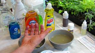 How to Make Soapy Water Garden Insect Sprays The Recipe Use amp Soap Selection  DIY Ep3 [upl. by Llyrehc]