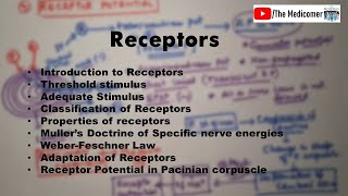 Receptors Physiology [upl. by Ordnaxela]