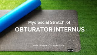 Myofascial stretch of the Obturator Internus [upl. by Esma]