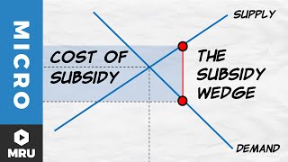 Subsidies [upl. by Rybma]