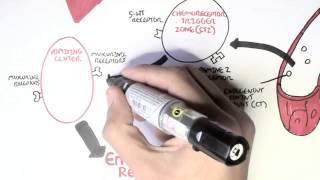 Physiology of Vomiting [upl. by Chrysler]