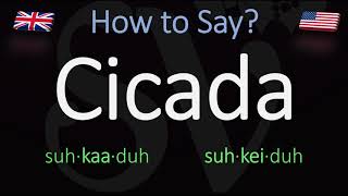 How to Pronounce Cicada British Vs American Pronunciation  Spanish [upl. by Ofloda]