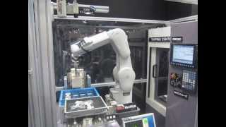 Mitsubishi Electric F Series Robot Machine Tending [upl. by Eladnek]