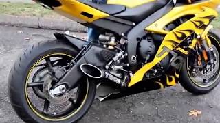 Toce Performance Yamaha R6 Single Tip Sound Clip [upl. by Akeihsal212]