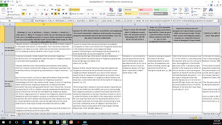 How to Create a Literature Matrix Excel [upl. by Maribel]